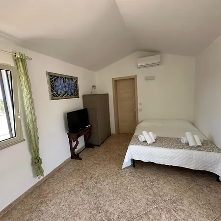 Ni By Professione Vacanze